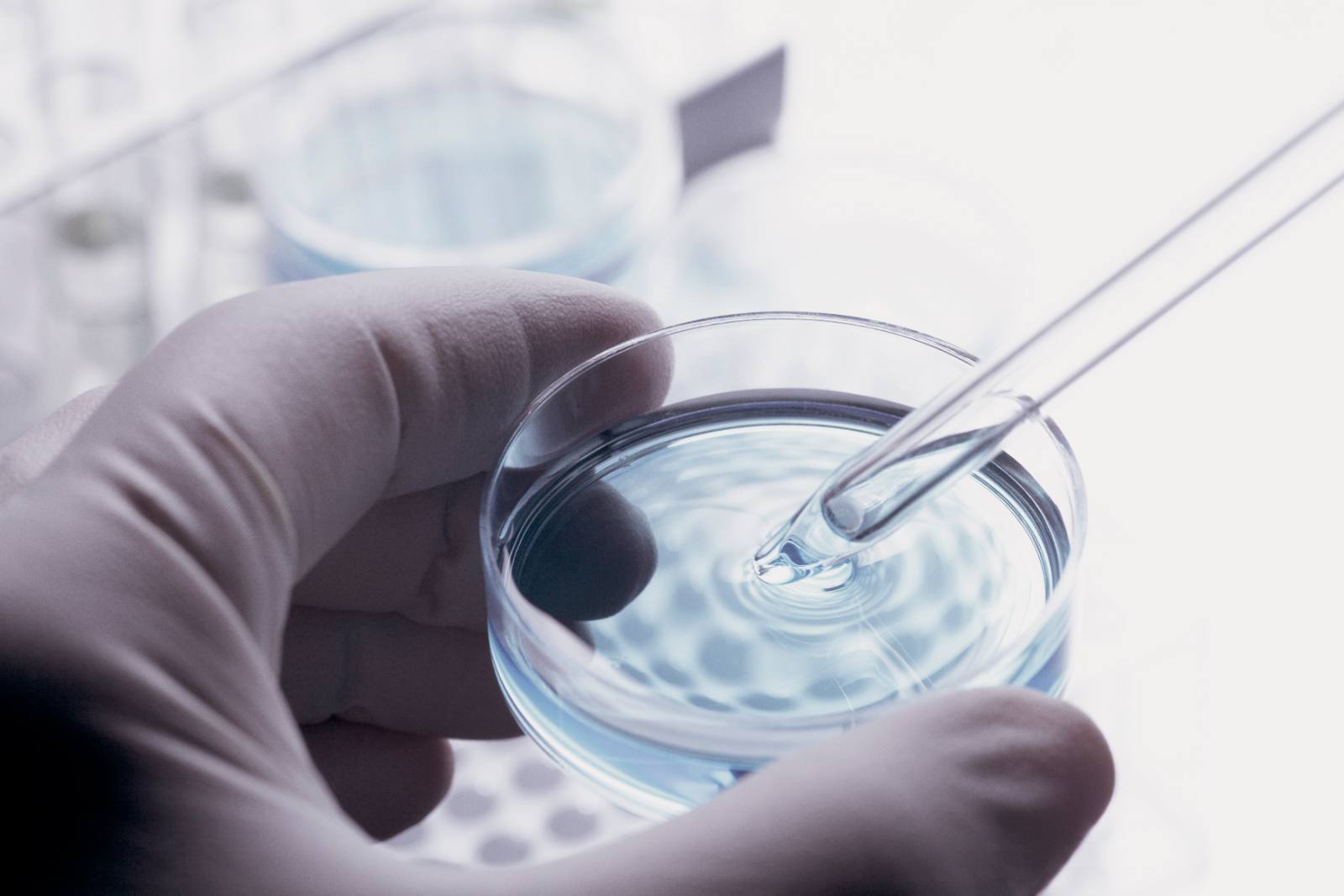 Gloved hand using a pipette over a petri dish